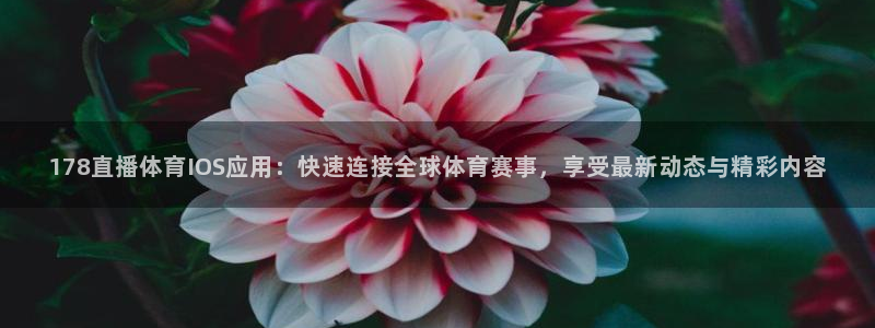 178直播体育IOS应用：快速连接全球体育赛事，享受最新动态与精彩内容